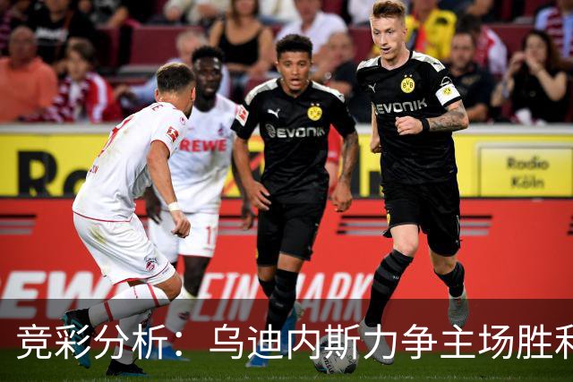 竞彩分析：乌迪内斯力争主场胜利 阿罗卡希望客场争分